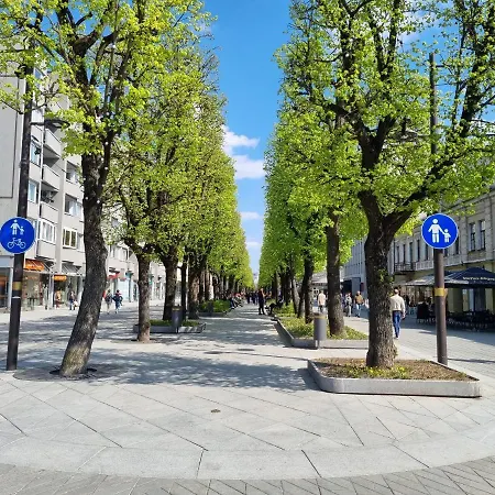 Luxury Laisves Avenue View Apartment